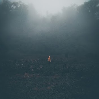Man Standing on Grass Field