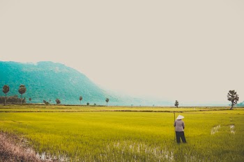 Man Standing on Green Grass Field Under White Sky