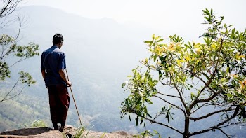 man standing on mountain cliff beside green leaf plant during daytime