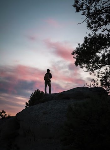man standing on mountain near trees