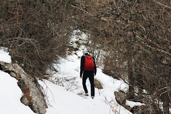 Man Standing on Snow
