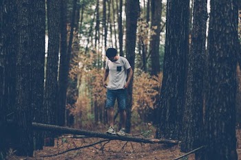 man standing on tree branch