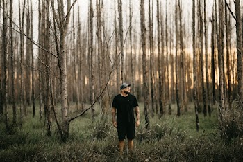Man Standing on Trees