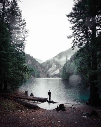 man standing on wood near mountain range