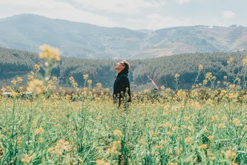 Man Standing on Yellow Rapeseed Flower Field Across Mountains