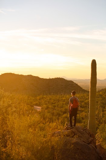 Man Standing Saguaro Plant