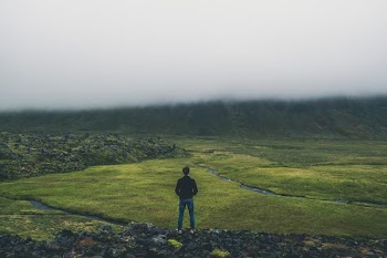man standing while facing green land