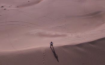 Man Stands on Desert