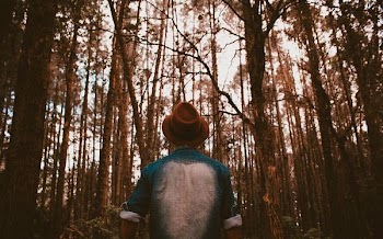 man staring up surrounded by trees taken at daytime