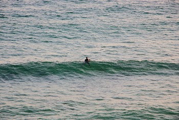Man Surfing