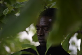 Man Surrounded by Green-leafed Plants