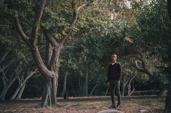 Man Surrounded By Trees