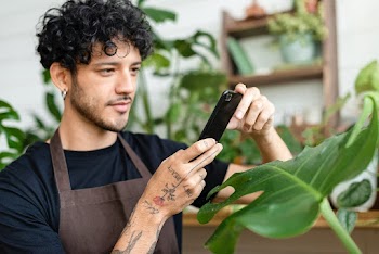 Man takes a photo of houseplant to share on… | Free stock photo | High Resolution image