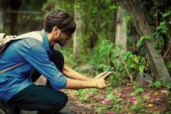 Man Taking Pictures of Pink Flowered Plants Using Smartphone