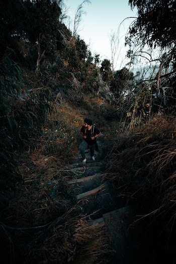 Man Taking Stone Stairs