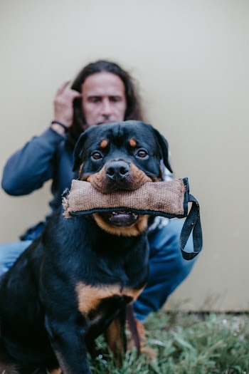 Man Training His Dog To Fetch