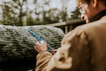 Man tying his Christmas tree | Free Photo - rawpixel