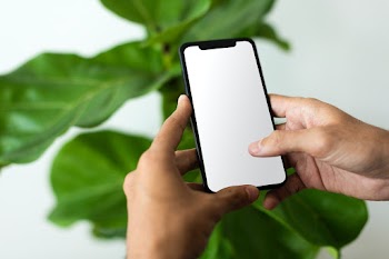 Man using smartphone with blank screen  | Free stock photo | High Resolution image