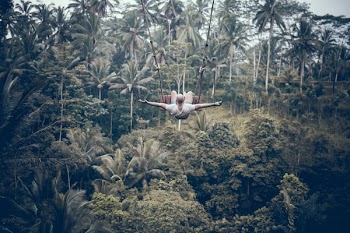 Man Using the Zip-lining on Top of Palm Trees
