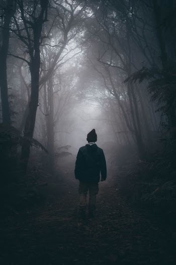 man waling on woods surrounded by mist