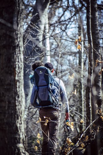Man Walking at Forest