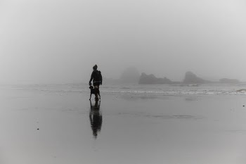 man walking in seashore beside dog