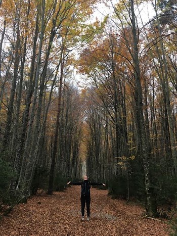 man walking in the woods