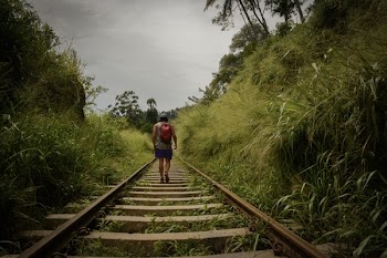Man Walking In Train Railroad