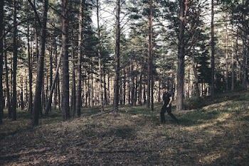 Man Walking in Woods