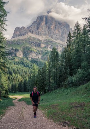 Man Walking Near Pine Trees and Mountain