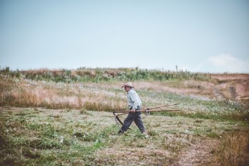 Man Walking On Farm