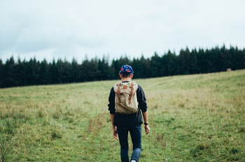Man Walking on Grass Field Leading to Trees
