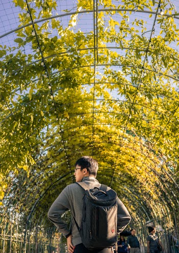 Man Walking on Leafed Tunnel
