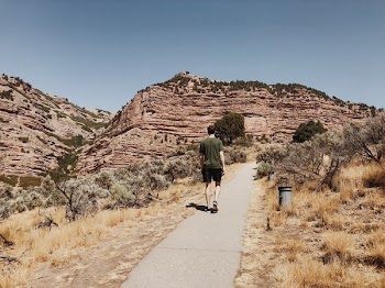 Man Walking On Pathway