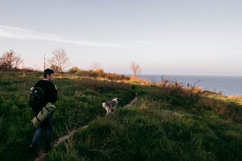 man walking on pathway nearby sea