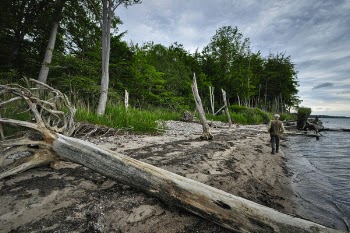 Man Walking on Seashore