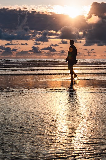 Man Walking on Seashore during Golden Hour