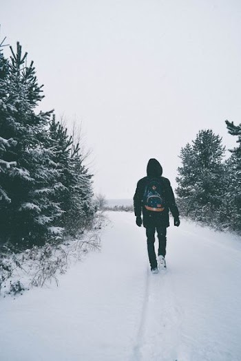 man walking on snow in between trees