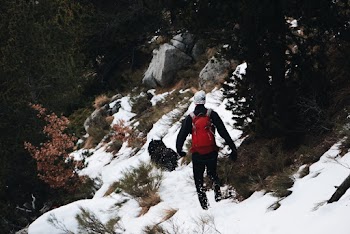 Man Walking on Snowy Field Beside Trees