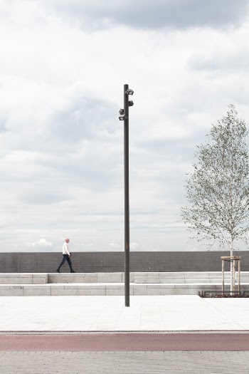 Man Walking on the Bay Side
