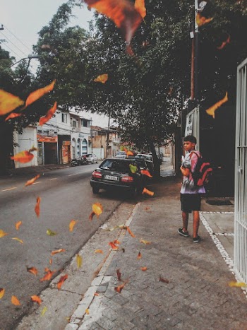 Man Walking On The Street