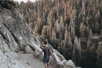 Man Walking on Walkway Near Trees
