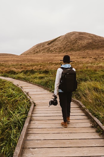 Man Walking on  Wooden Pathway Surrounded By Grassland