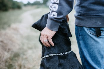 Man Walking With Black Dog