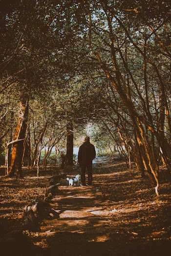Man Walking With His Dog