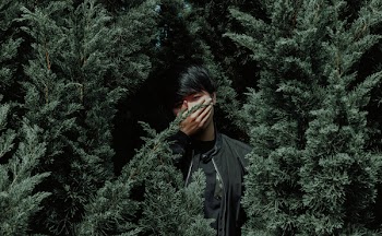 Man Wearing Black Jacket Between Tree