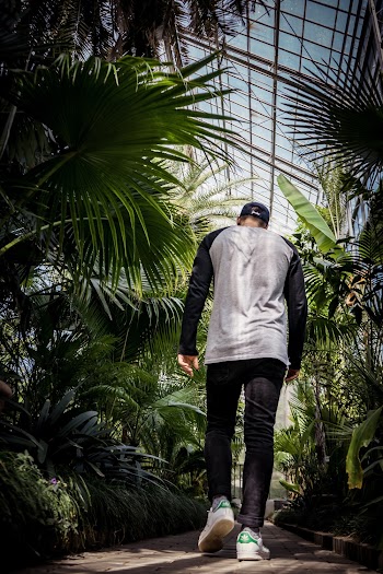 Man Wearing Black Jeans Walking Besides Green Plants