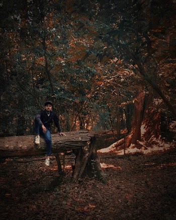 Man Wearing Black Sweater Sitting on Tree Trunk