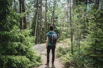 man wearing blue backpack walking through forest