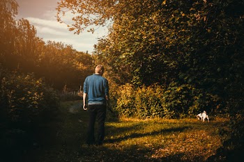 Man Wearing Blue Jacket Looking Dog Peeing